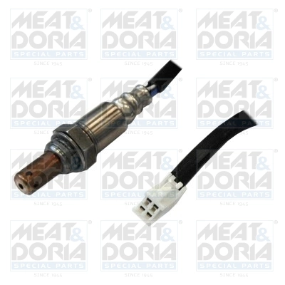 Oxygen Sensor